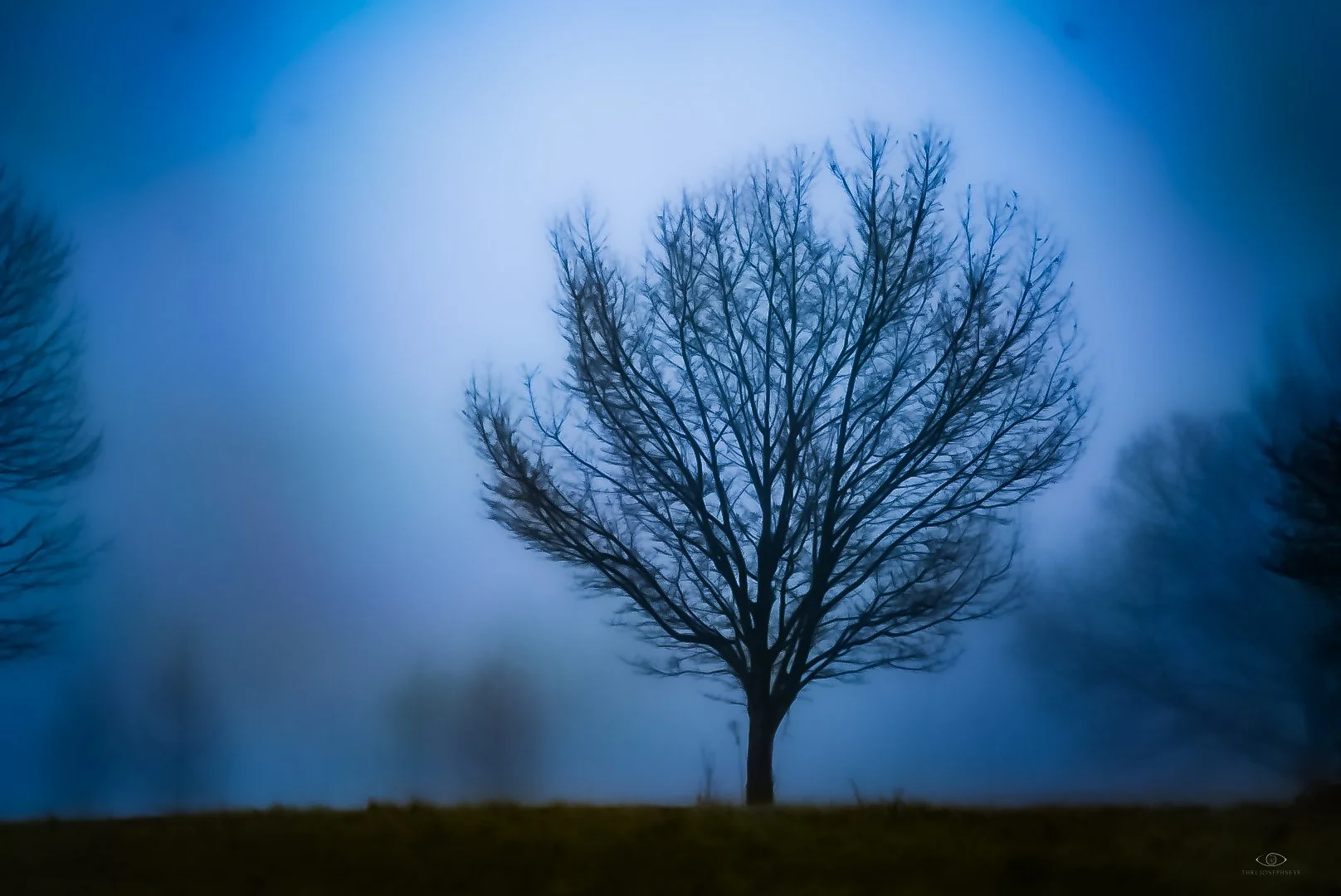 Foggy morning