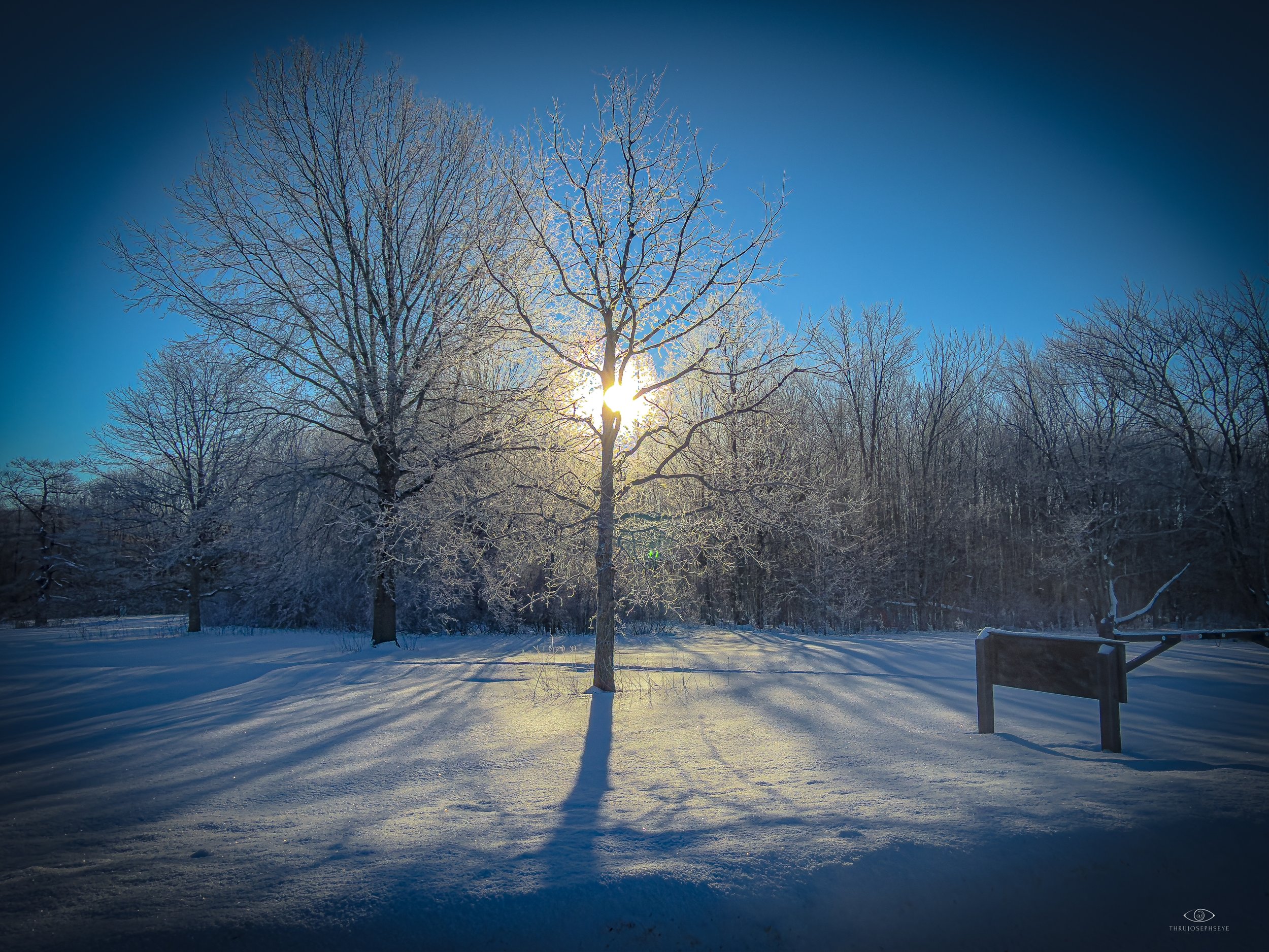 Frozen Sun 1 2.1.26.jpg