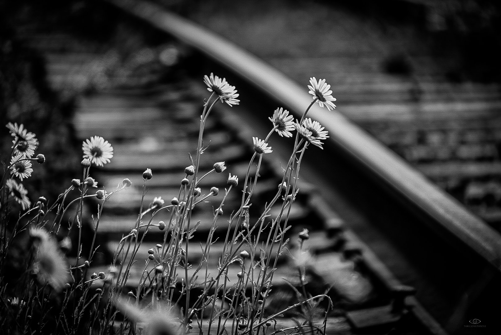 Tracks 1 6.1.25.jpg