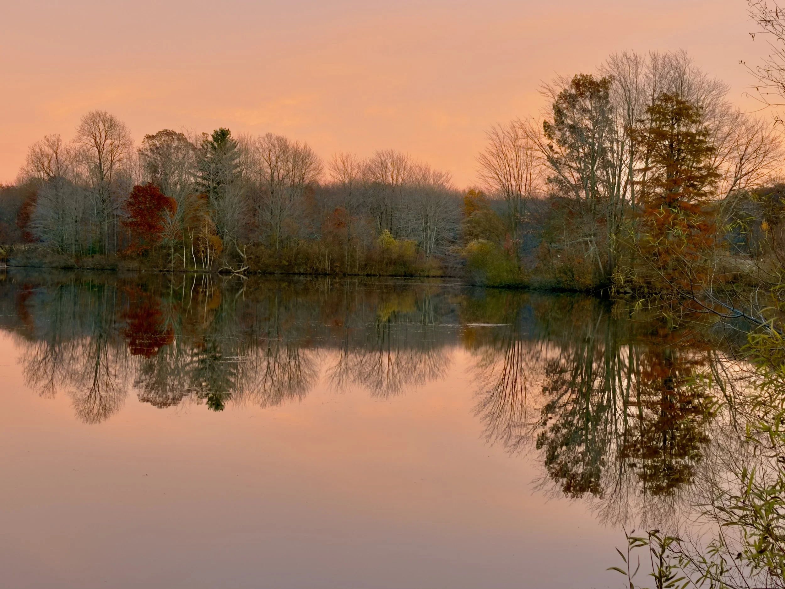 After the leaves have fallen