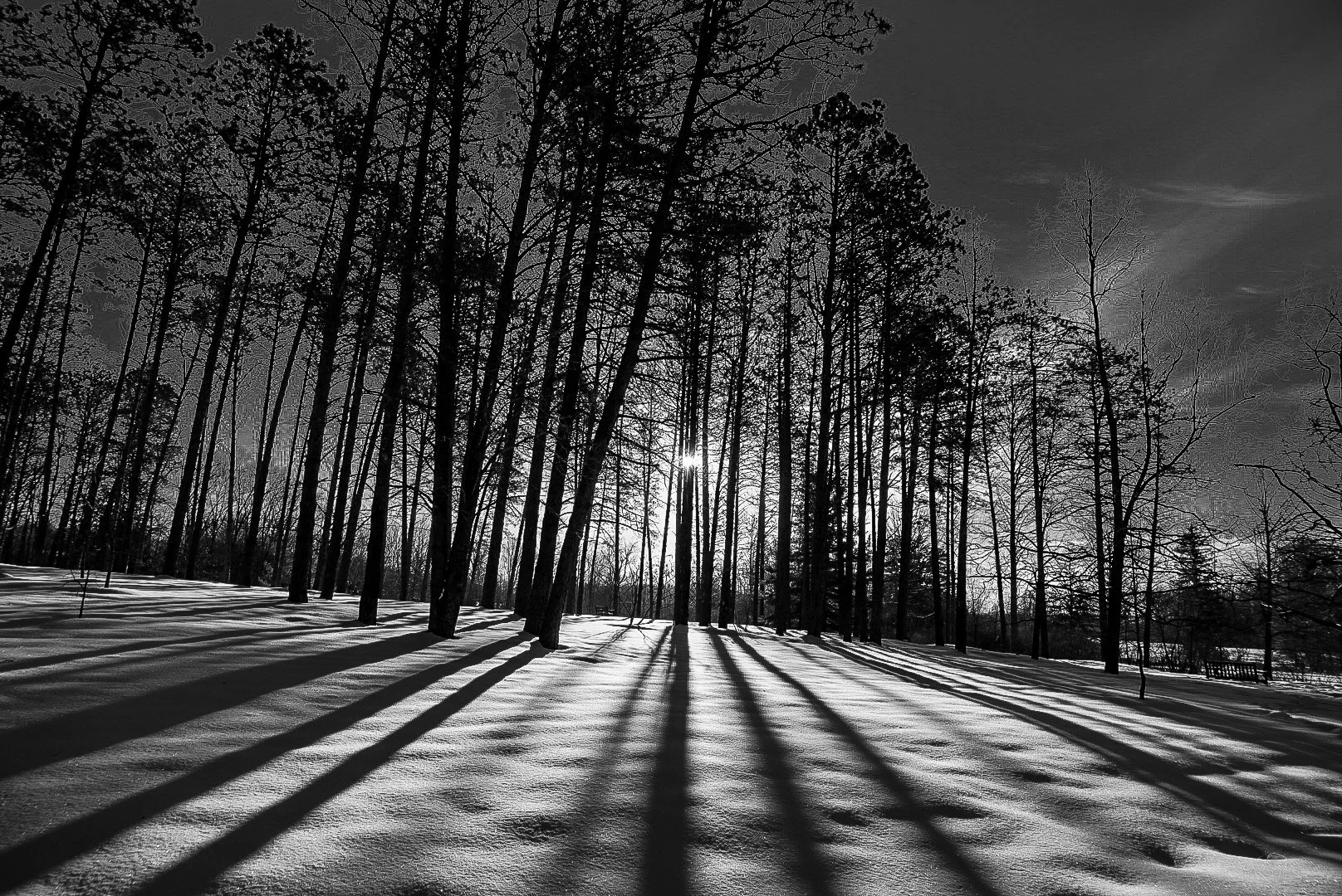Winter Shadows