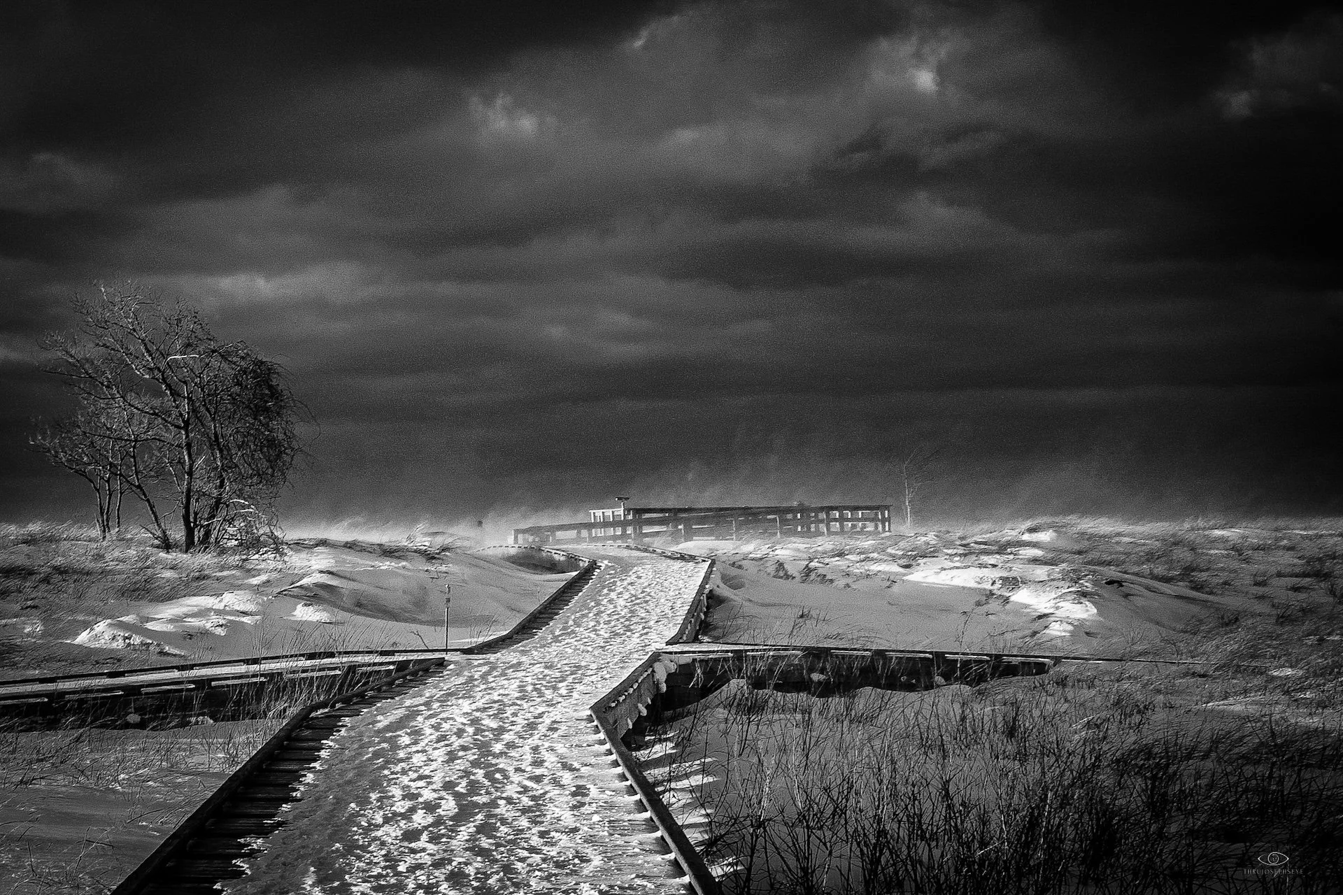 Headlands, January 2025