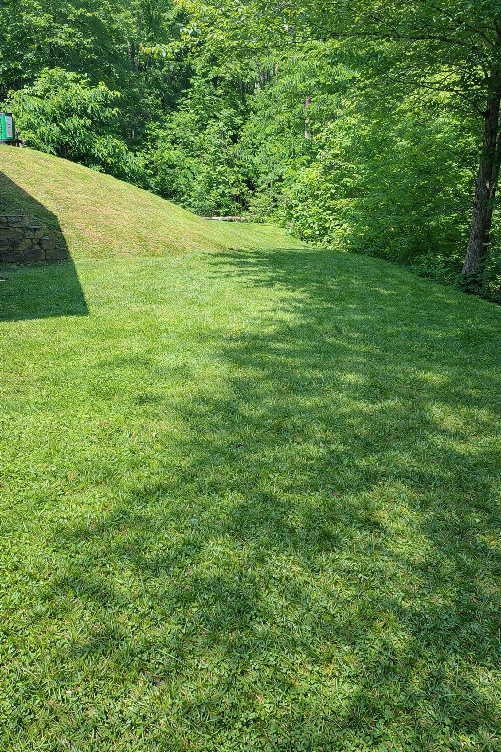 Weekly lawn mowing service in Sylva NC