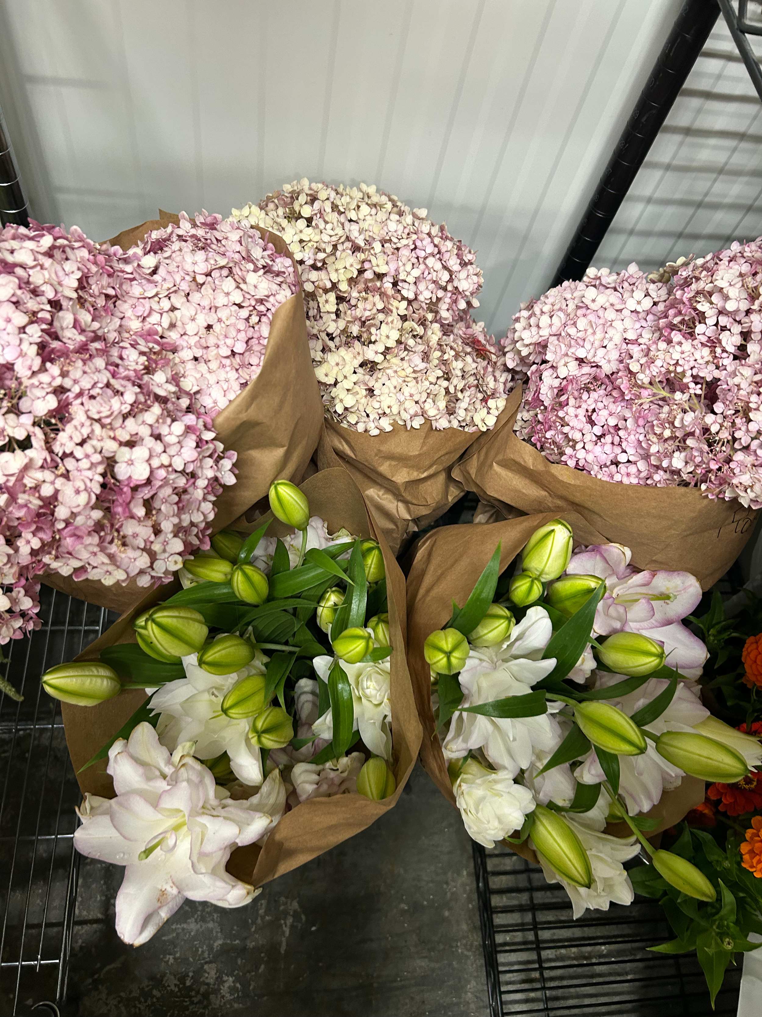pink hydrangea.png