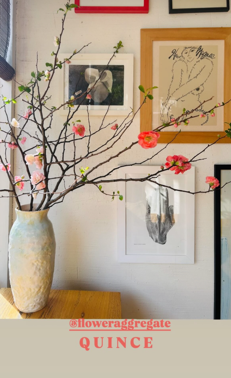 A vase with pink and white blossoms on branched flowering tree placed on a wooden surface, with framed art and drawings on a wall behind it.