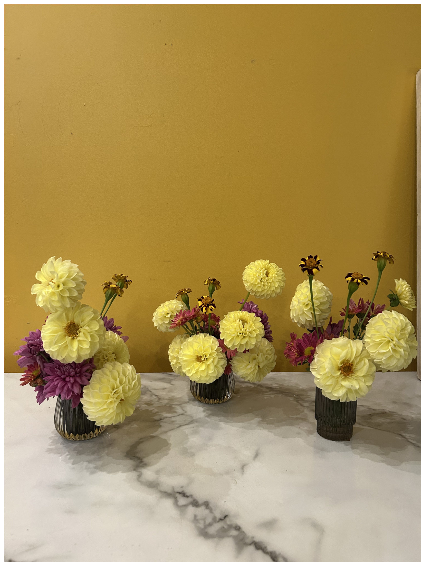 yellow dahlias.png