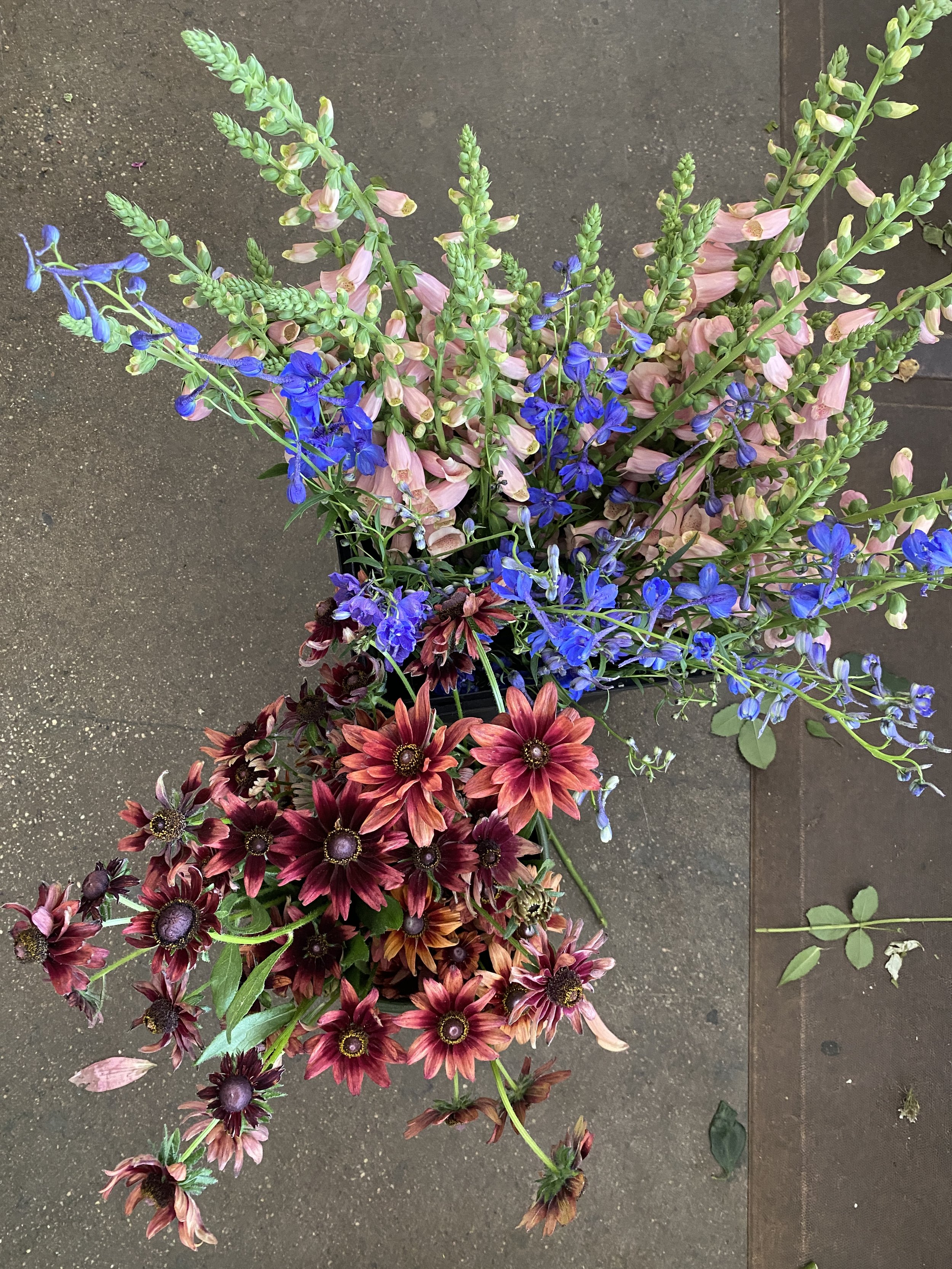 A bouquet of locally grown various flowers, including pink snapdragons, blue delphiniums, and red daisies, arranged together on a dark surface.