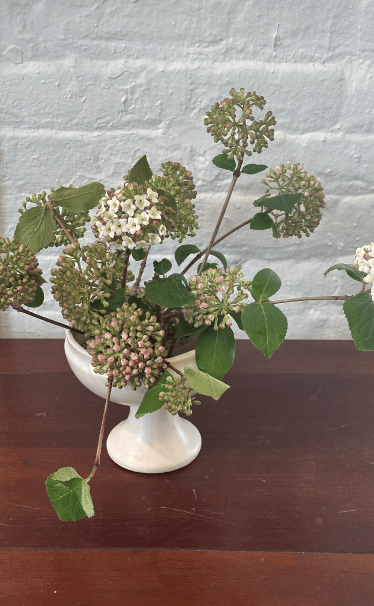 A white ceramic vase with a bouquet of green hydrangea flowers and leaves, placed on a wooden surface against a white brick wall.