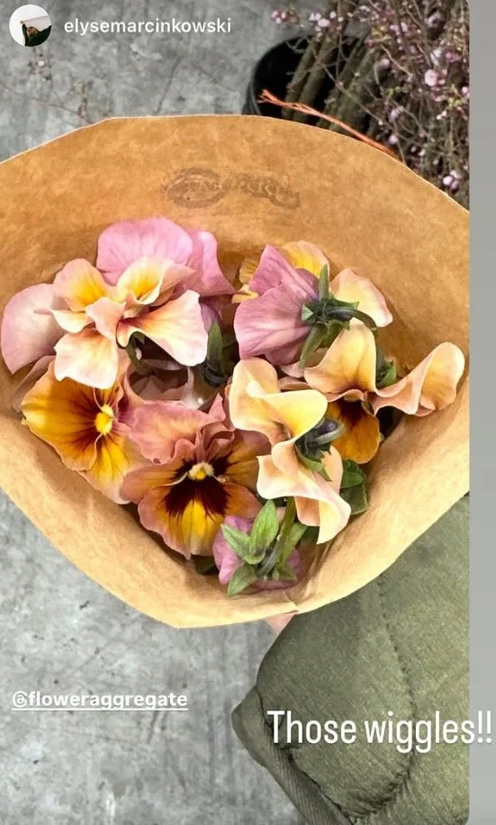 Bouquet of multicolored pansy flowers wrapped in brown paper.