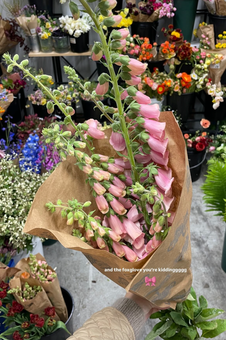 Bouquet of pink and green flowering plant in a brown paper wrapping, with a background of various colorful flowers at a flower shop.