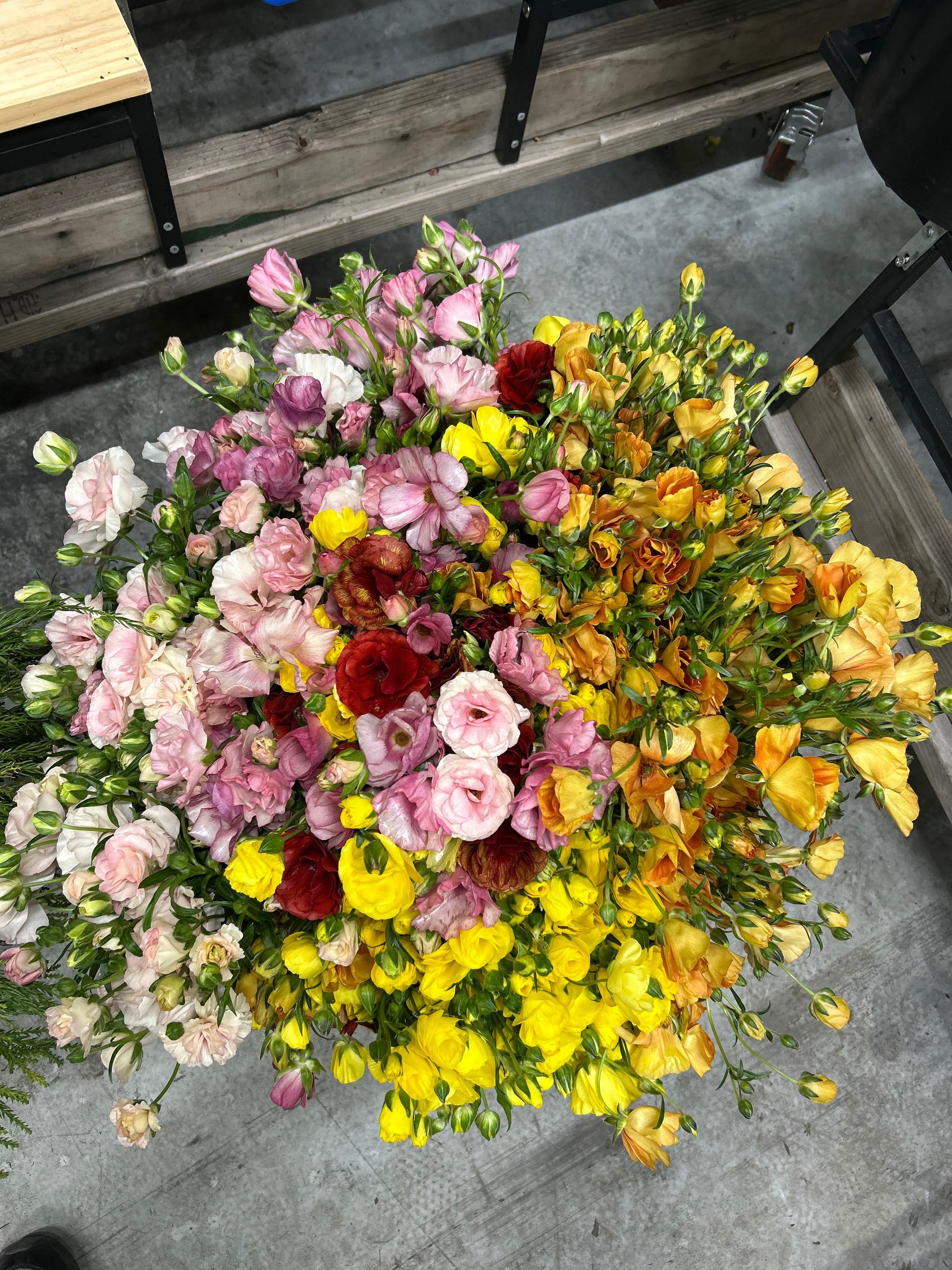 butterfly ranunculus