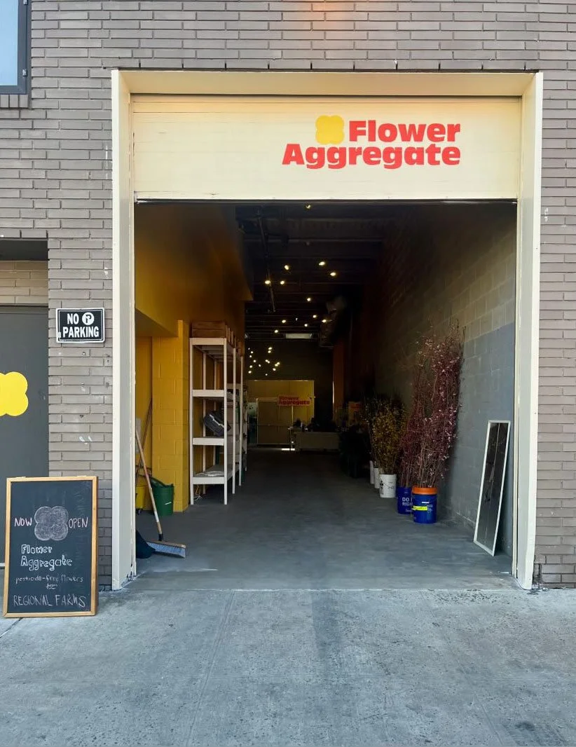 Open local flower shop called 'Flower Aggregate' with a yellow flower logo, interior with shelves, plants, and signs indicating it is open.