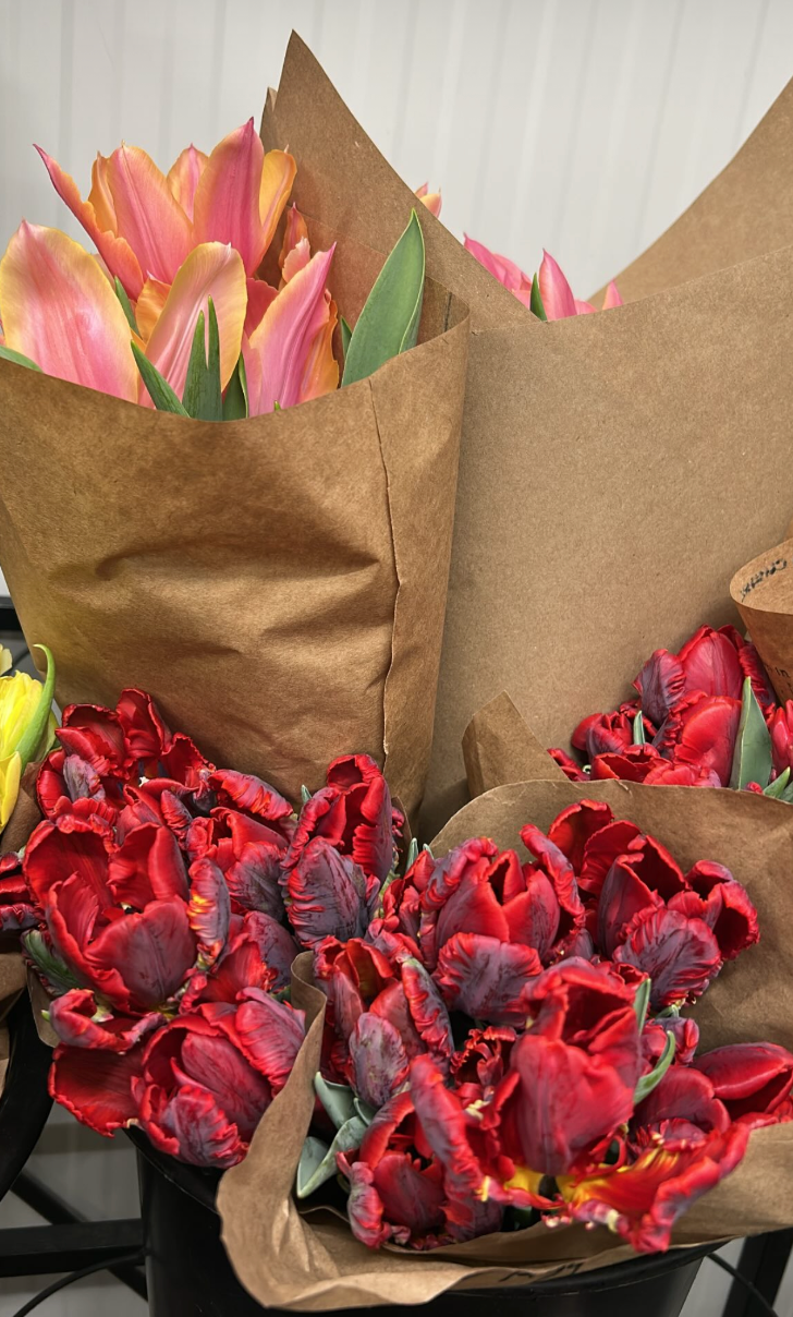 Bouquets of pink and red tulips wrapped in brown paper.