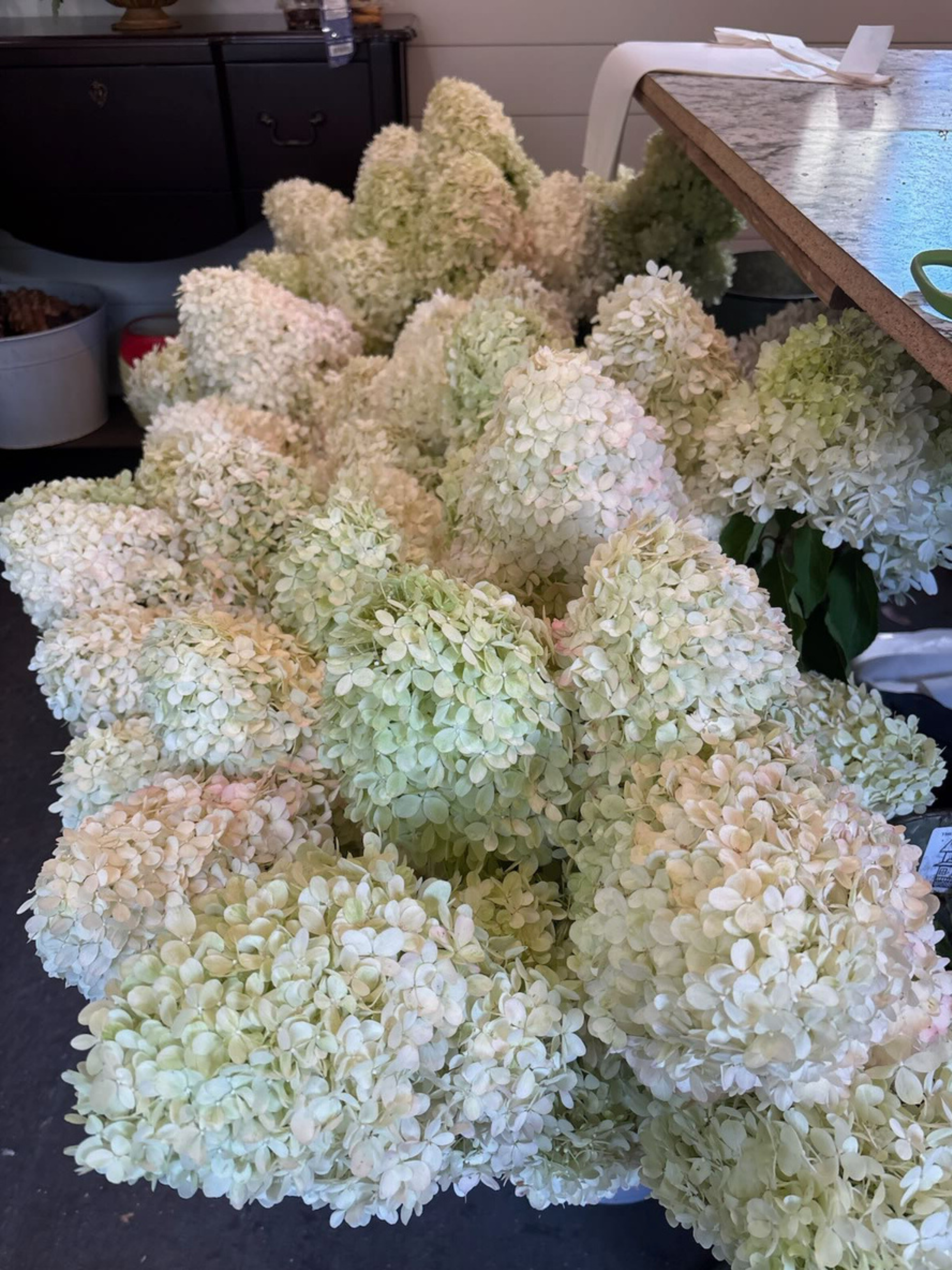 hydrangea (1).png