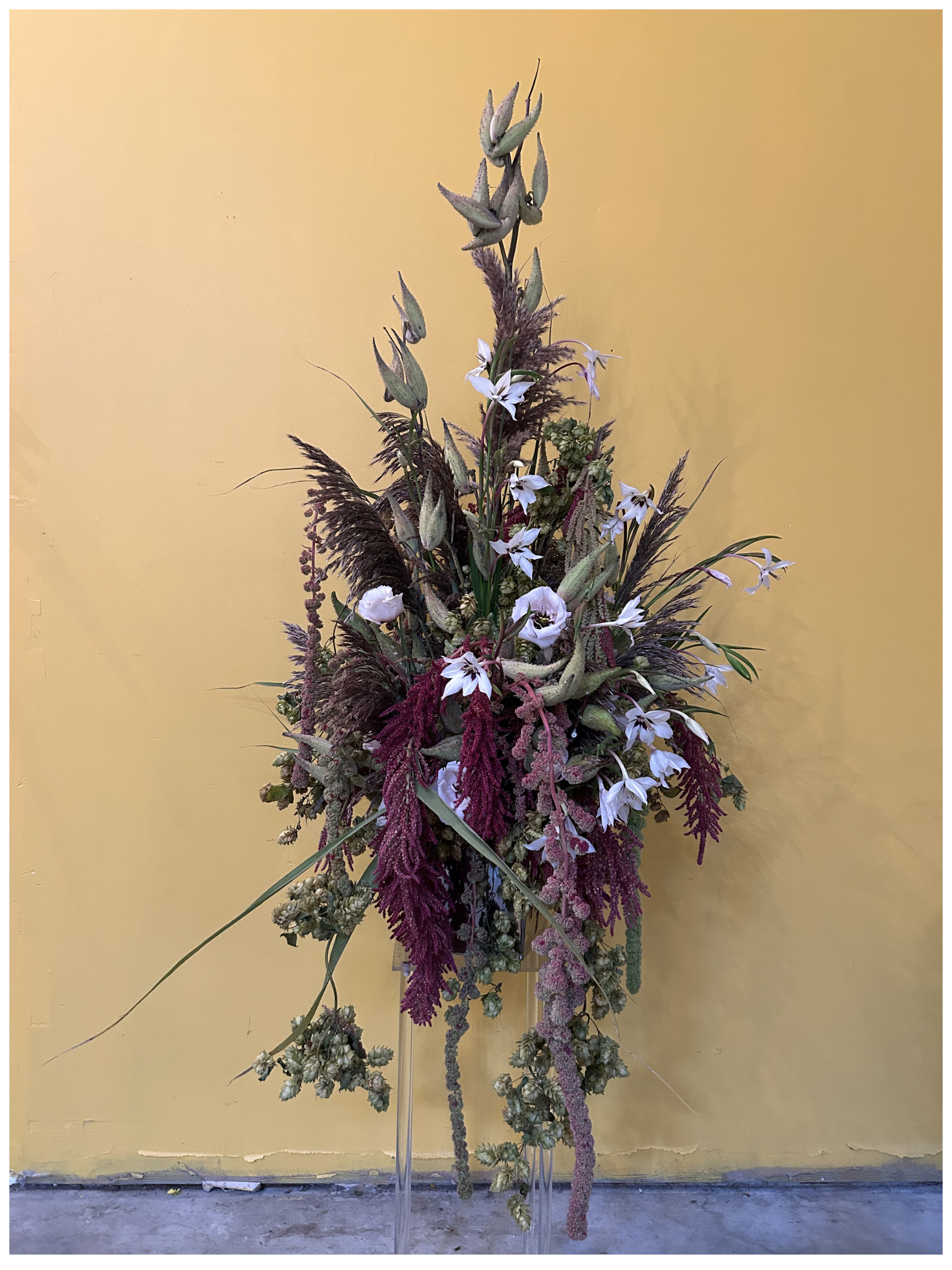 milkweed monster.png