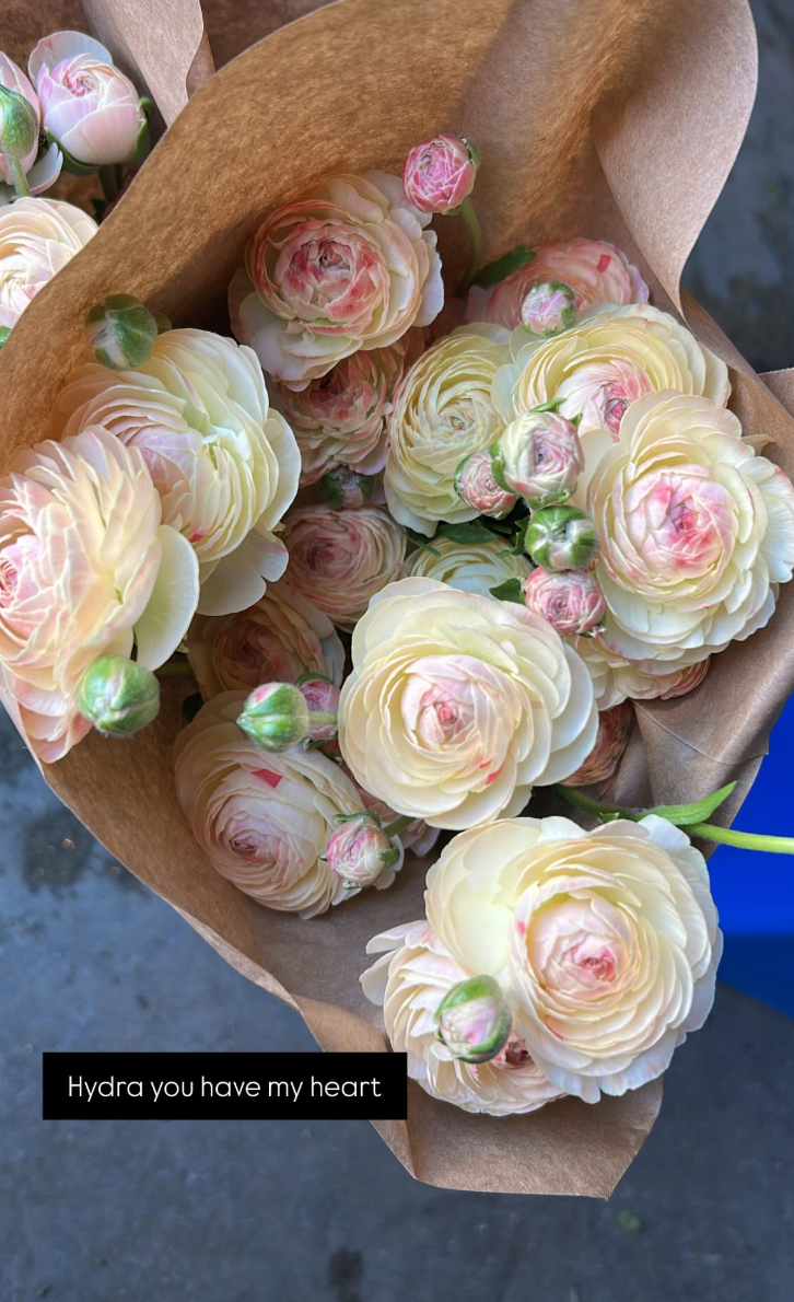 A bouquet of light pink and white ranunculus flowers wrapped in brown paper.