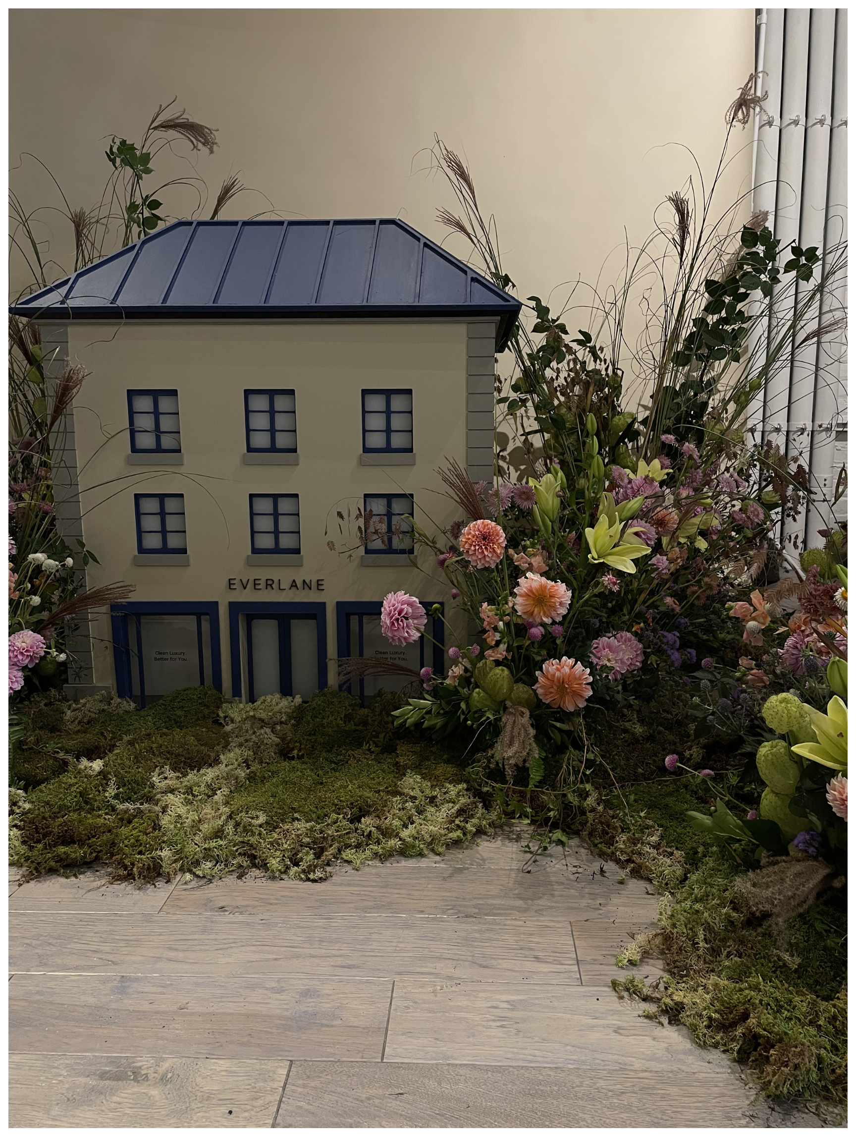 everlane 2.png