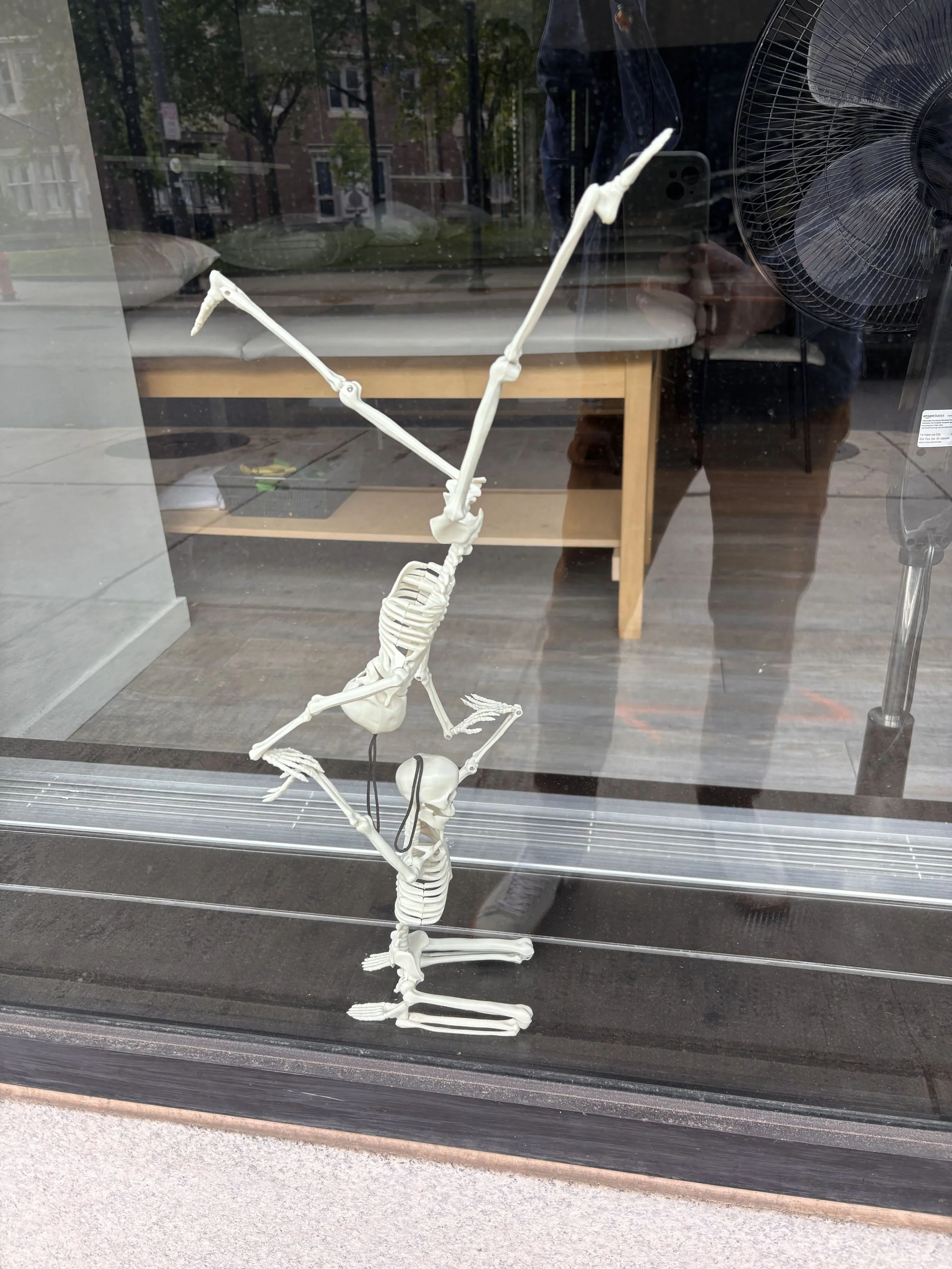 Philly window art.