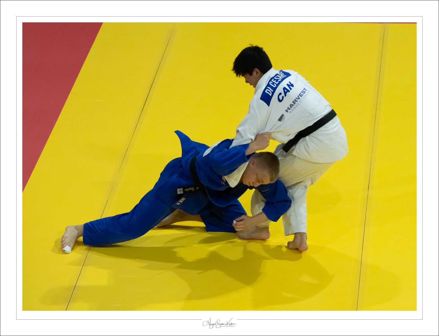 NSK05118-full.jpg