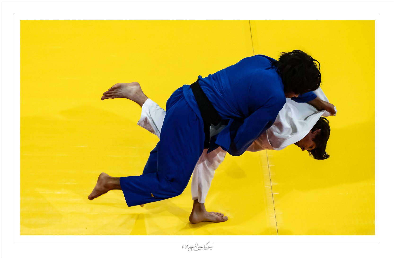 NSK05169-full.jpg