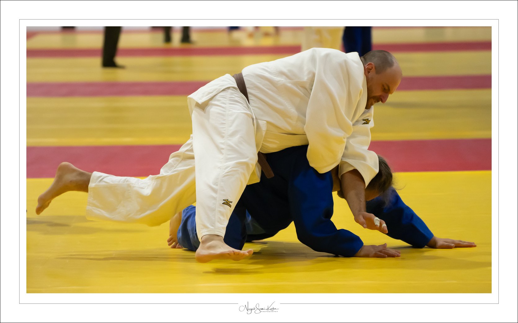 NSK05213-full.jpg