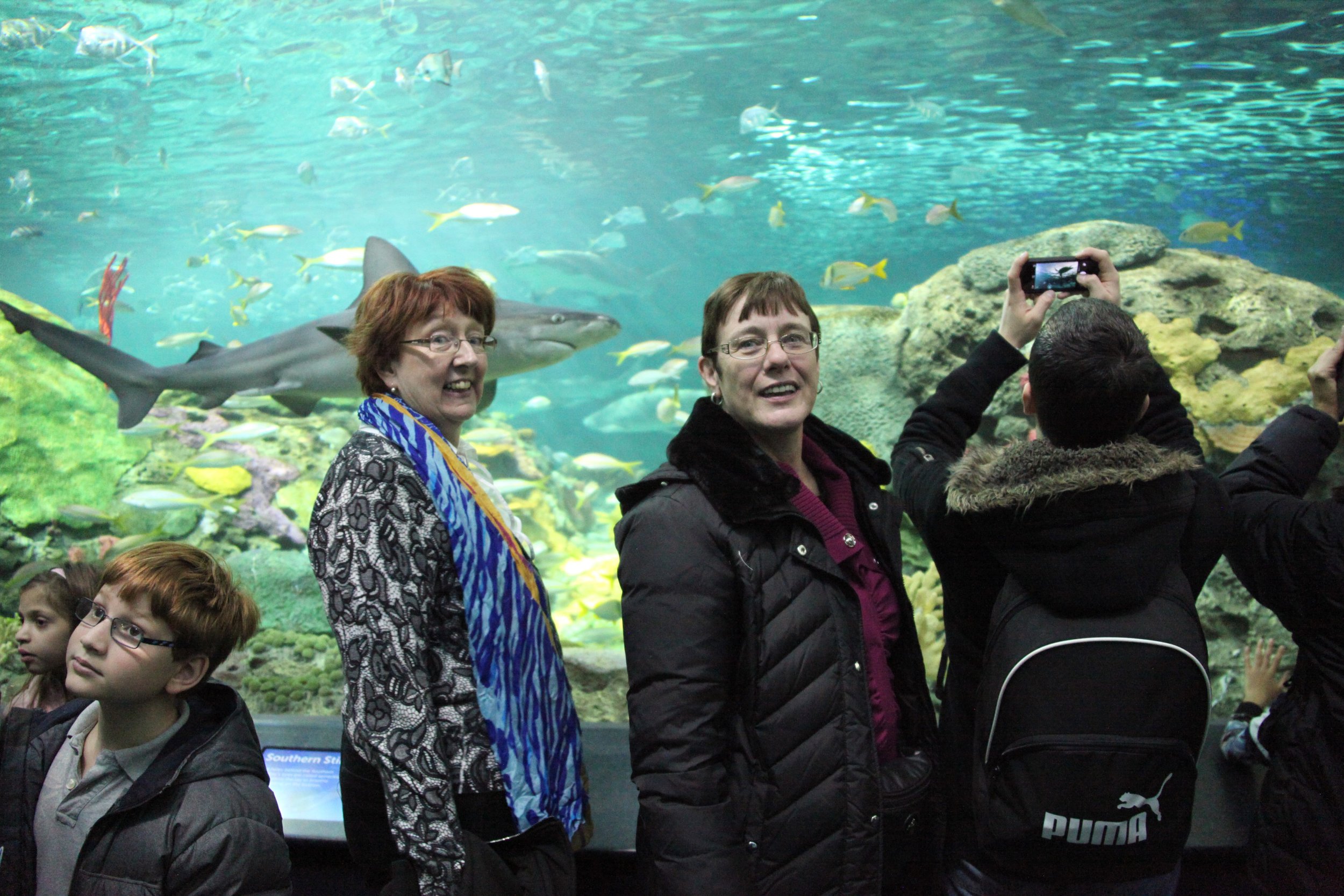 Ripley's Aquarium,Toronto
