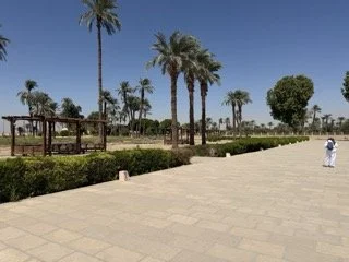 IMG_8305 Small.jpeg