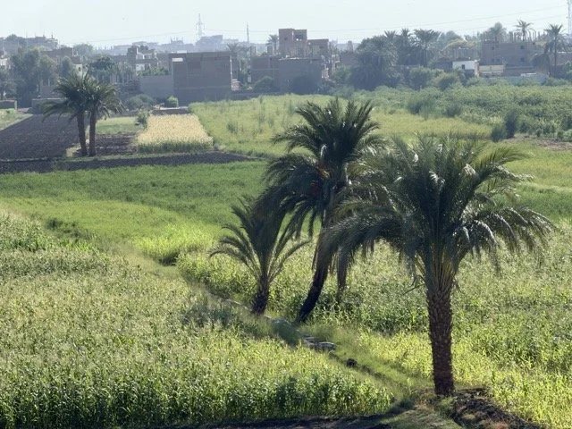 IMG_8734 Medium.jpeg