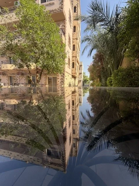 IMG_8487 Medium.jpeg