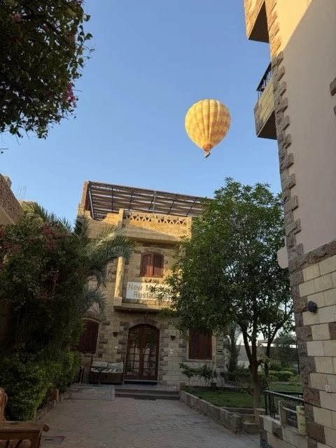 IMG_8437 Medium.jpeg