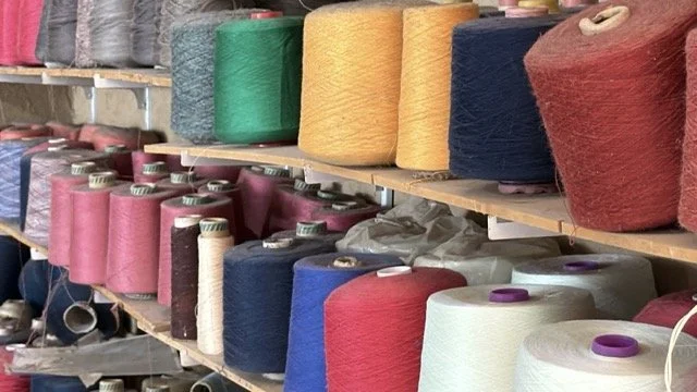 IMG_8521 Medium.jpeg