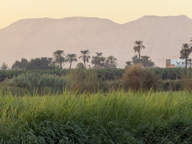 IMG_8815 Medium.jpeg