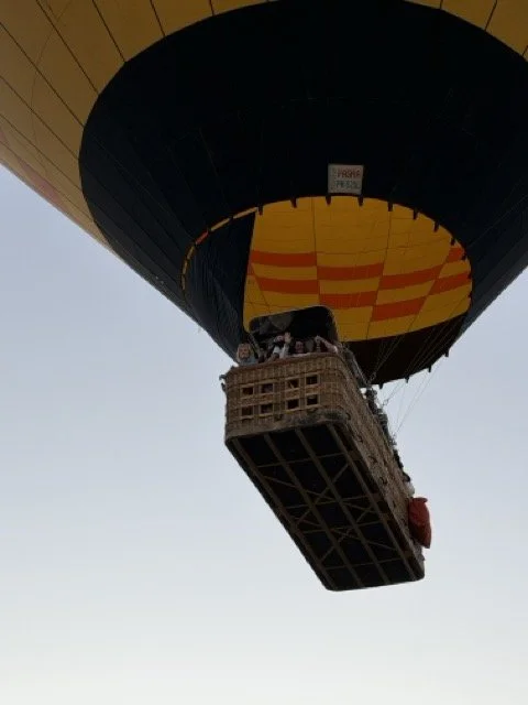 IMG_8944 Medium.jpeg