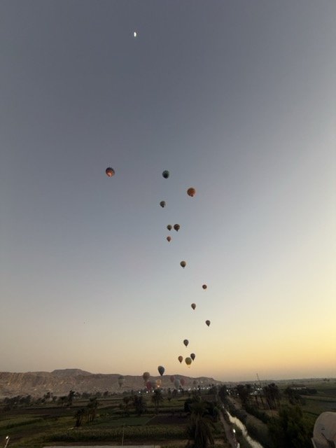 IMG_8942 Medium.jpeg