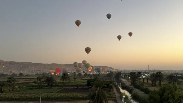 IMG_8917 Medium.jpeg