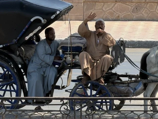 IMG_9074 Medium.jpeg