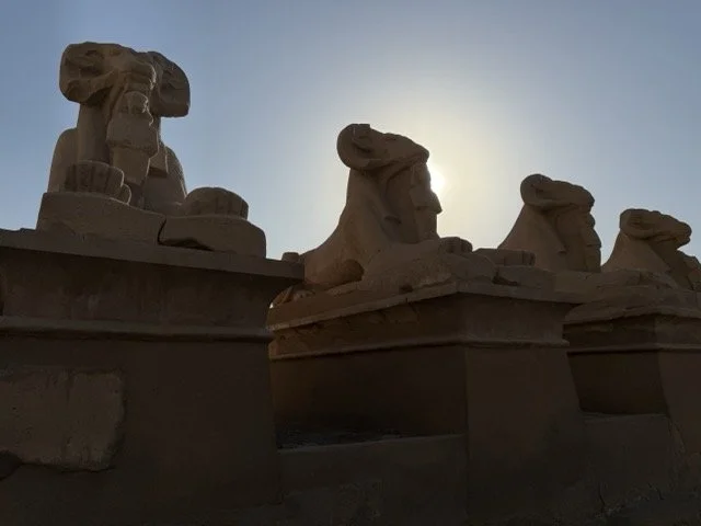 IMG_9201 Medium.jpeg