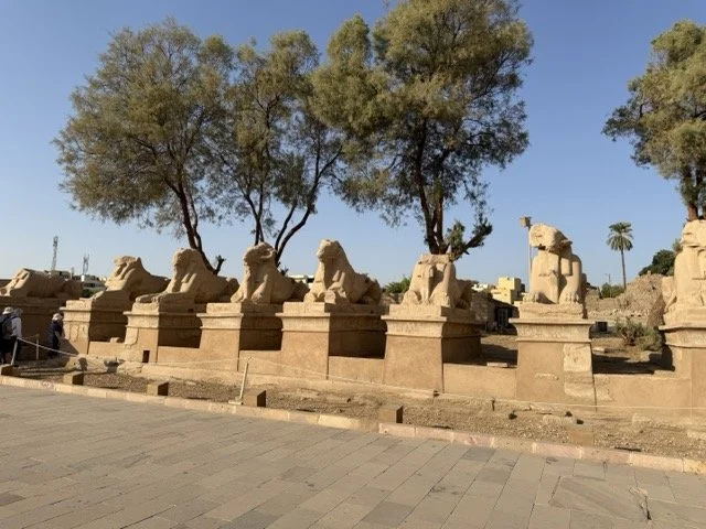 IMG_9200 Medium.jpeg