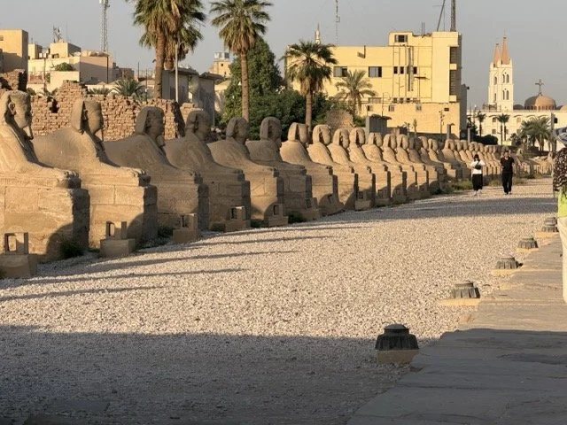 IMG_9247 Medium.jpeg