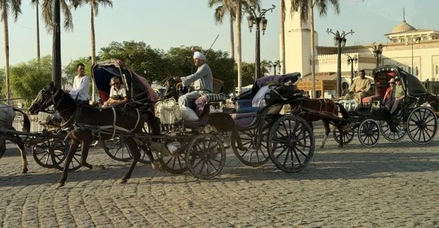 IMG_9223 Medium.jpeg