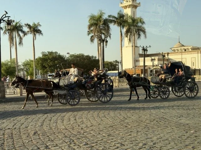 IMG_9226 Medium.jpeg