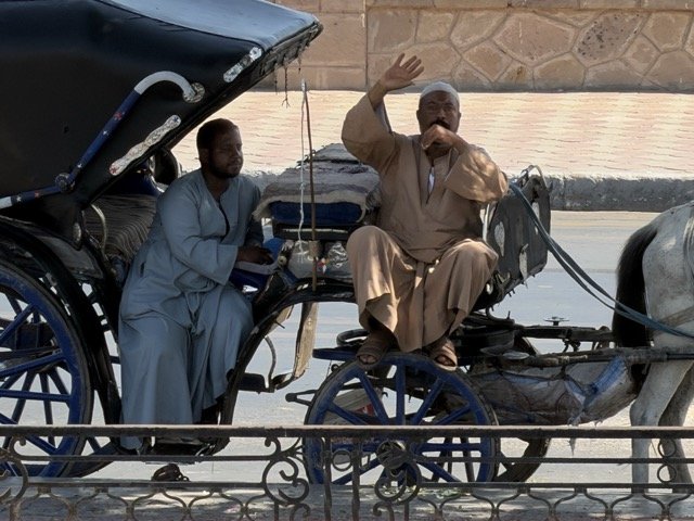 IMG_9074 Medium.jpeg