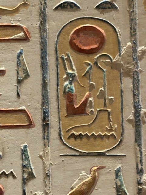 IMG_9635 Medium.jpeg