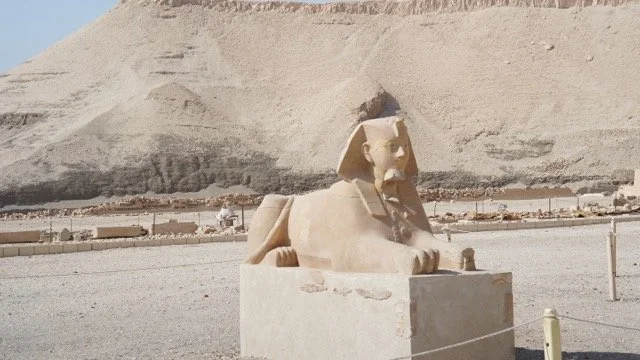 DSC07832 Medium.jpeg