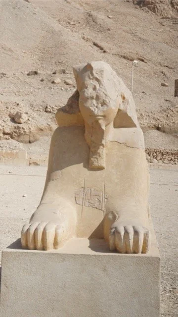 DSC07834 Medium.jpeg