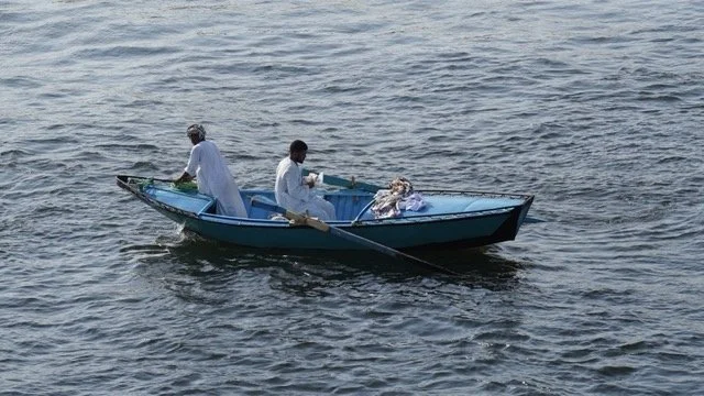 DSC08223 Medium.jpeg