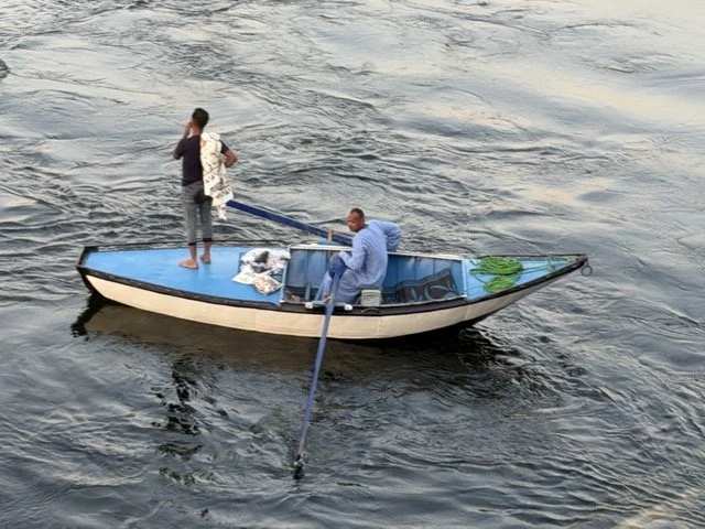 IMG_0043 2 Medium.jpeg