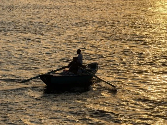 IMG_9960 2 Medium.jpeg