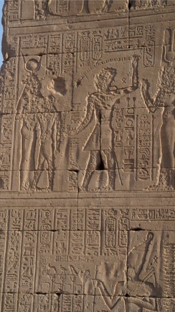 DSC08347 Medium.jpeg