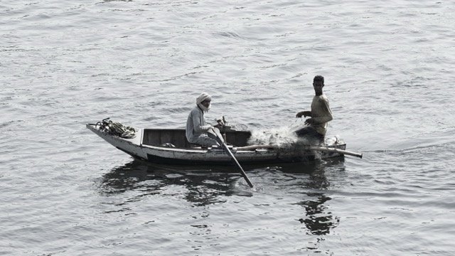 DSC08731 Medium.jpeg